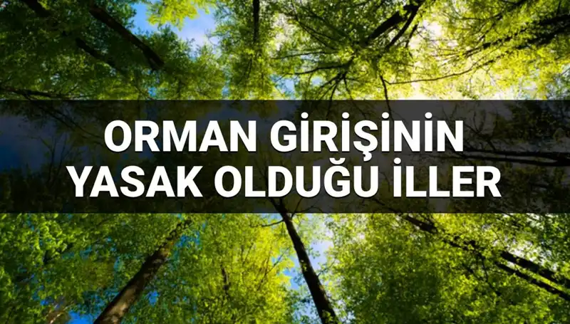 2025 Yılında Hangi İllerde Ormana Girmek Yasak? Detaylar Burada!