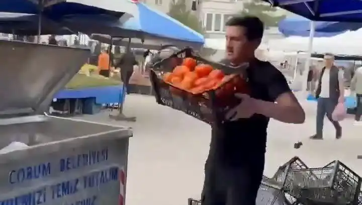 Pazarcının Domatesleri Çöpe Dökmesi, Rekor Para Cezasıyla Sonuçlandı