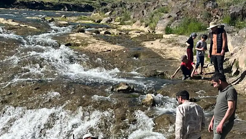 İnci Kefali Göçü: Doğanın Harikası, Turistlerin Gözdesi Oldu