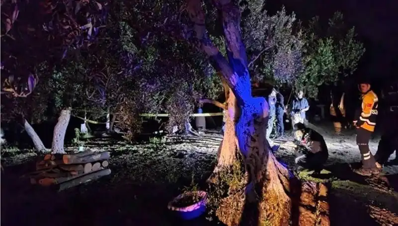 Çiftlikteki Baltalı Vahşete İki Şahıs Tutuklandı, Gerçekler Ortaya Çıktı