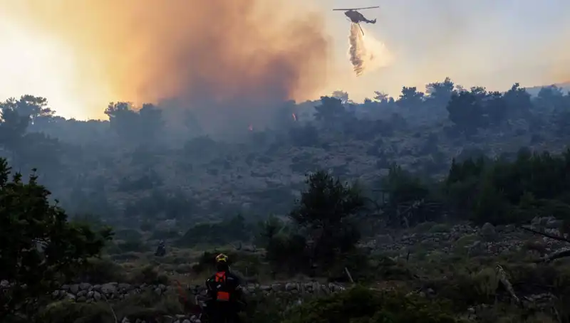 Eğriboz Adası'nda Orman Yangını: Yangının Sebepleri ve Tahliye Süreci