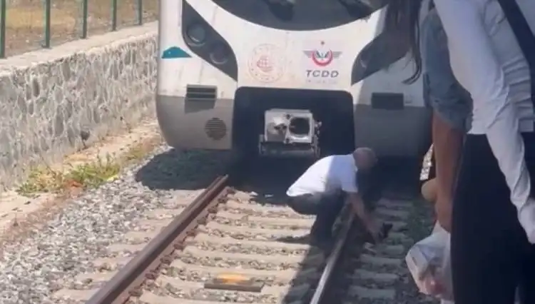 Marmaray Makinistinin Kediyi Fark Edip Durdurduğu Olay Göz Doldurdu