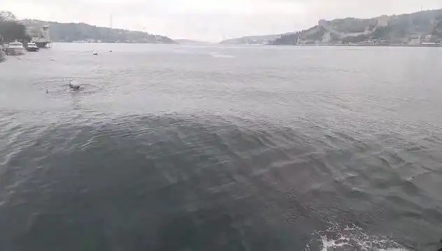 İstanbul Boğazı'nda Yükselen Dalgalar Tehlike Mi Oluşturuyor?
