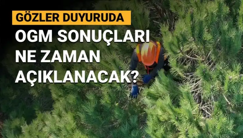 OGM Personel Alımı Duyuruları: 3 Bin 477 Sözleşmeli Eleman Seçimi İçin Eyvallah Zamanı