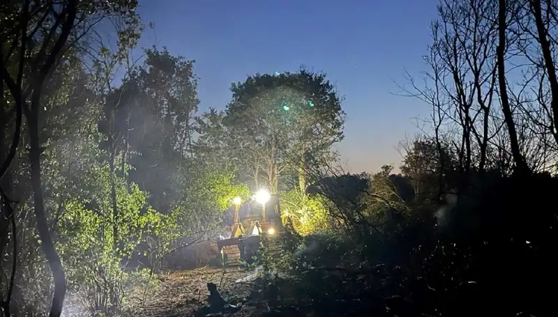 Edirne'deki Orman Yangını Kontrol Altına Alındı: Detaylar ve Son Durum