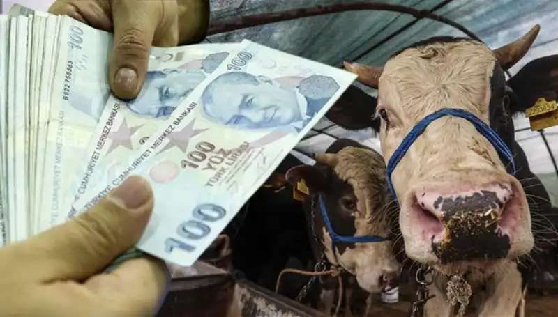 Kurban Bayramı Öncesi Emekli ve Memur Maaşları Ne Zaman Yatacak?