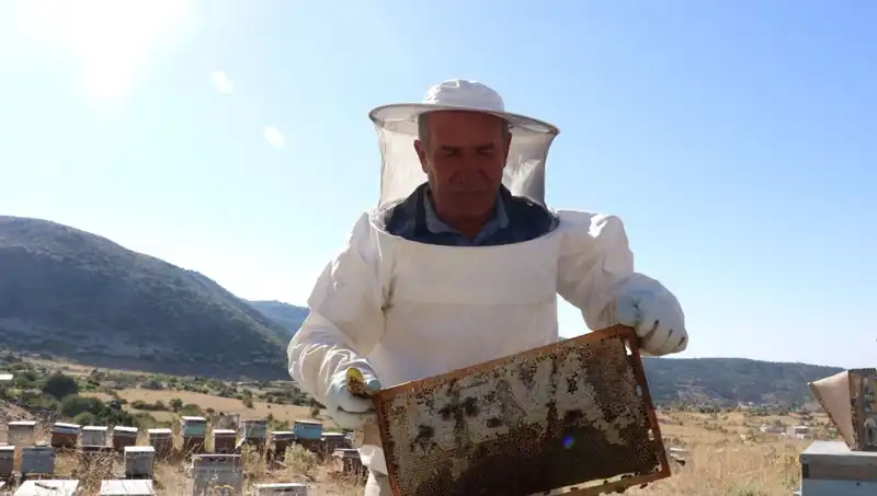 25 Yıl Sonra Dönüş: Mobilyacıdan 2 Ton Ürüne Uzanan Başarı Hikayesi