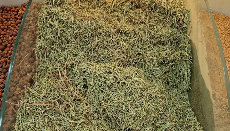 Yaz Aylarında İnternetten Satışı Artan Tehlikeli Ürünlere Dikkat!