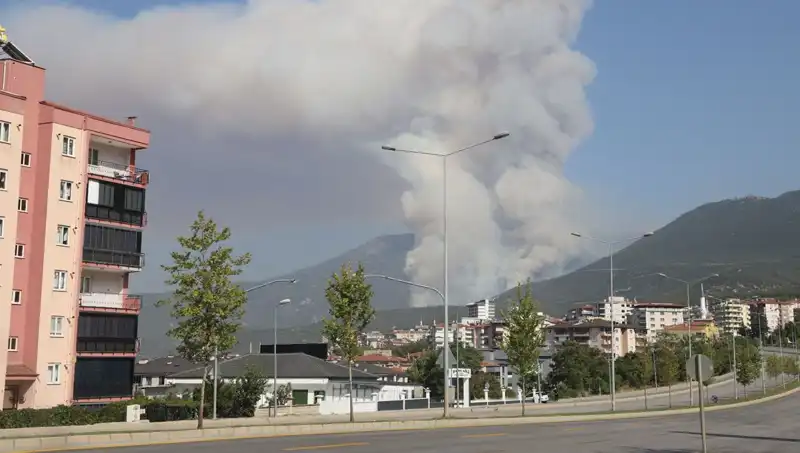 Denizli Orman Yangını: Gece Yarısı Çıkan Alevlere Müdahale Başladı