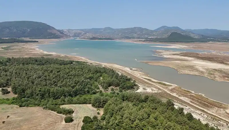 İzmir'de Üzücü Gelişme: Yüzde 50 Düşüşle Tehlike Çanları Çalıyor