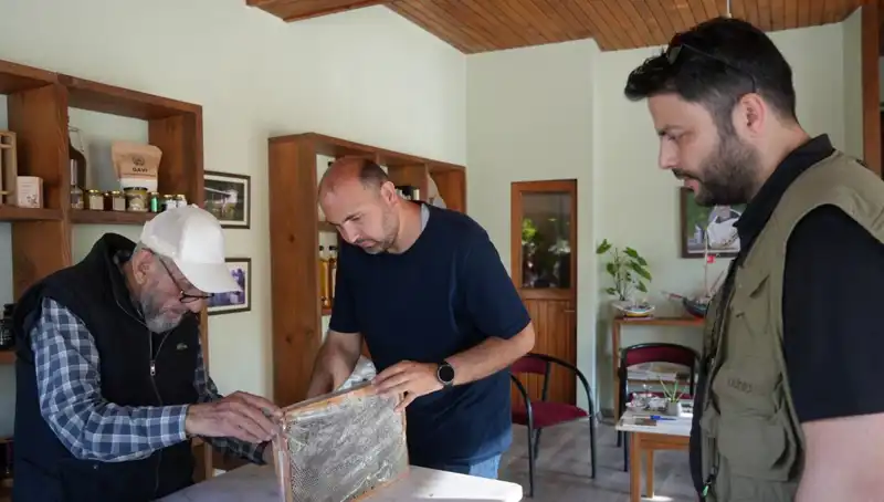 Doktor Tavsiyesiyle Tüketilmesi Gereken Şifalı ve Tehlikeli Besinler