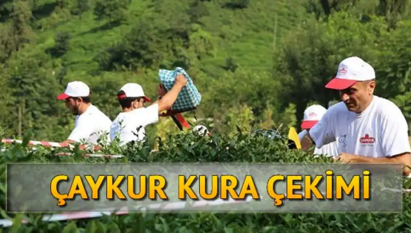 Çaykur Canlı Kura Sayfası İle İlgili Tüm Bilgiler Burada!