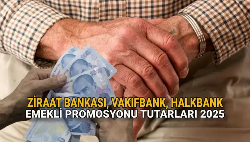 2025 Yılında Kamu Bankalarından Emeklilere Özel Promosyon Fırsatları