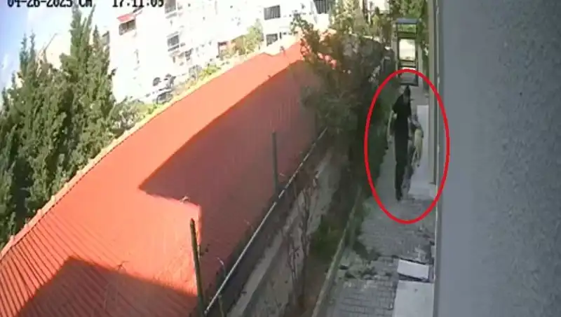 Veteriner Doktorun Karşılaşılan Dehşet Verici Suçları: Köpekleri Parçaladı, Tutuklandı!